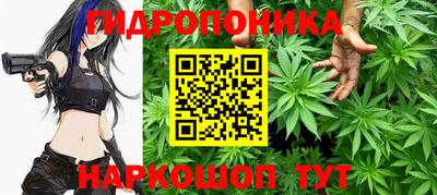 гидропоника Краснокаменск