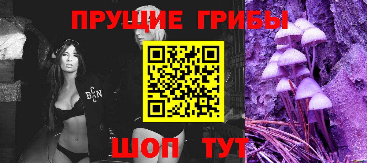 Кимры  Галлюциногенные грибы Psilocybine cubensis  Галлюциногенные грибы MAGIC MUSHROOMS  Вход с VPN 