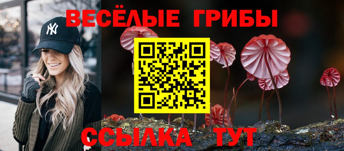 Псилоцибиновые грибы мухоморы Кимры
